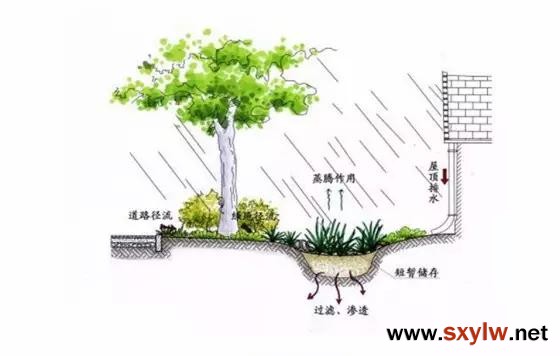 雨水花园就应该这样做